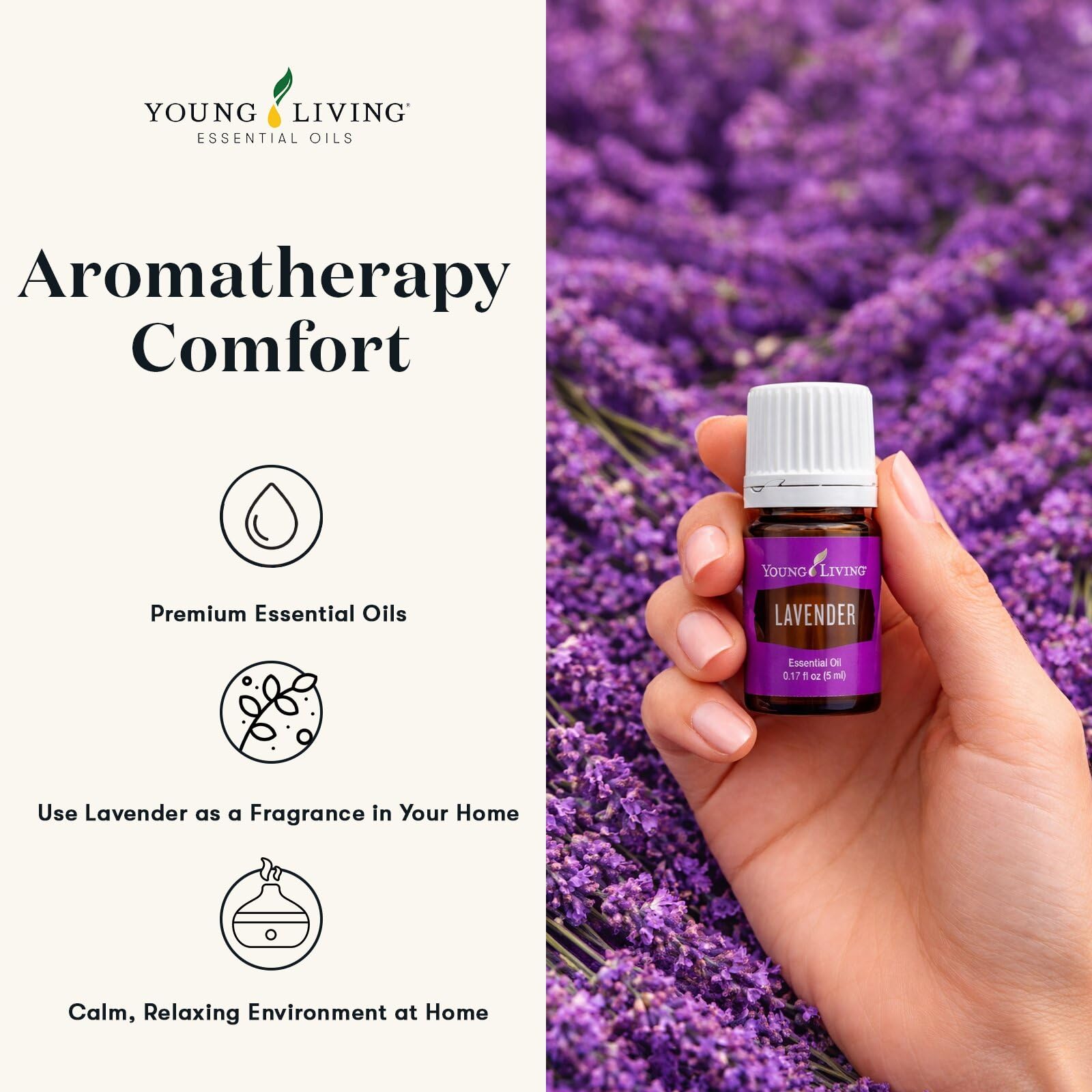 Amazon.com: Lavender Essential Oil 5ml by Young Living – Pure